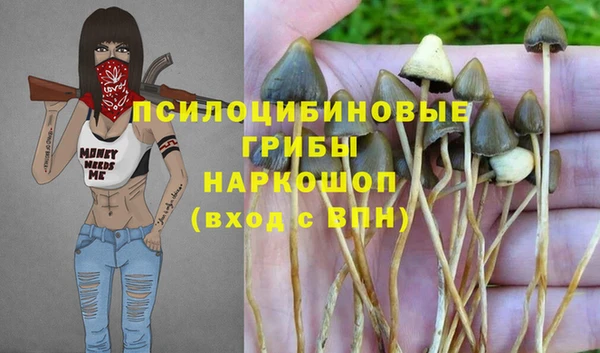 амф Абинск