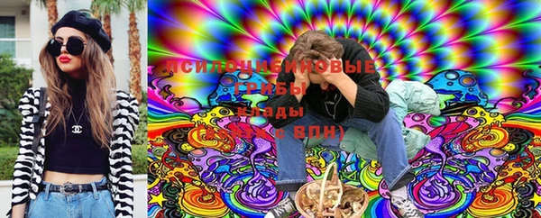 амф Абинск